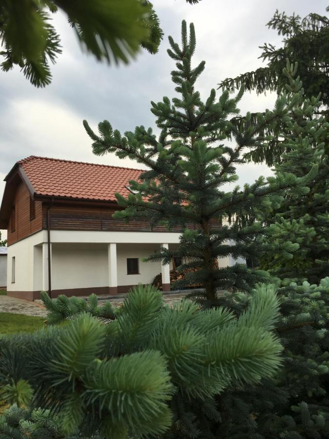 Pokoje Kasztanowa Вилкаси Екстериор снимка